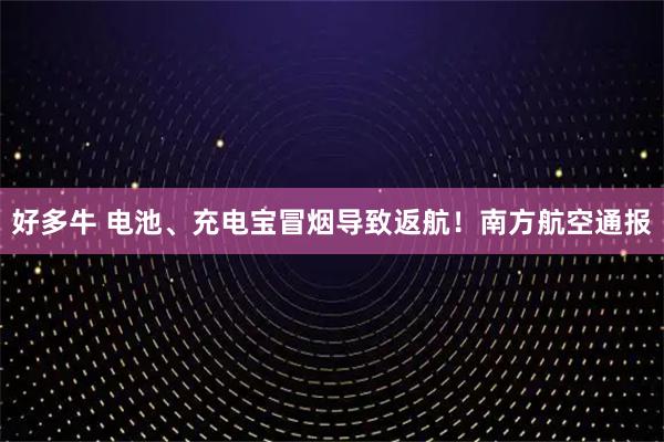 好多牛 电池、充电宝冒烟导致返航！南方航空通报