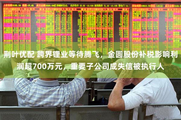 荆叶优配 跨界锂业等待腾飞，金圆股份补税影响利润超700万元，重要子公司成失信被执行人