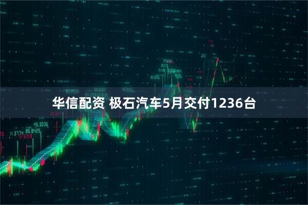 华信配资 极石汽车5月交付1236台