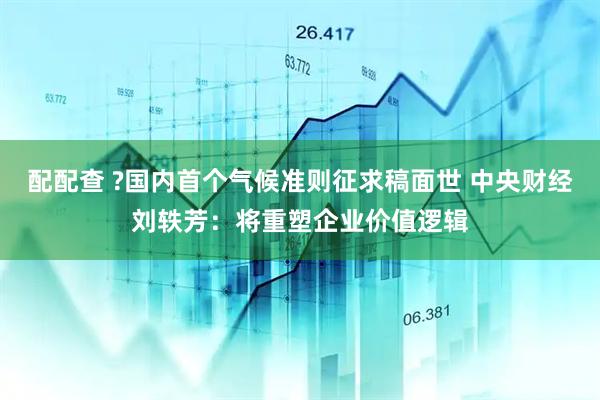 配配查 ?国内首个气候准则征求稿面世 中央财经刘轶芳：将重塑企业价值逻辑