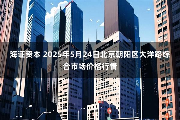 海证资本 2025年5月24日北京朝阳区大洋路综合市场价格行情