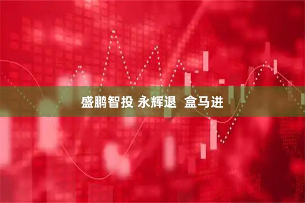 盛鹏智投 永辉退  盒马进