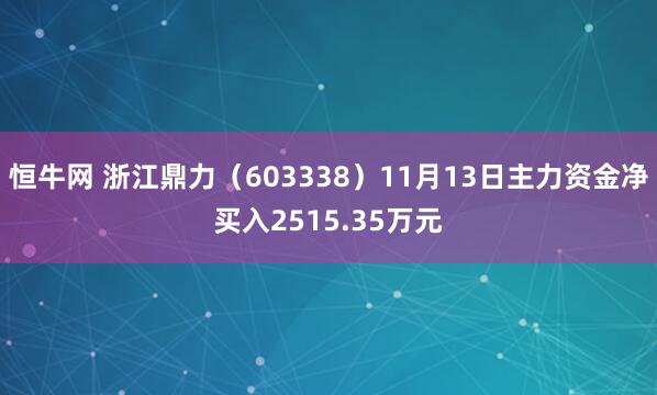 恒牛网 浙江鼎力（603338）11月13日主力资金净买入2515.35万元