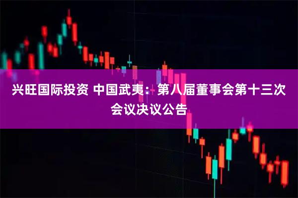 兴旺国际投资 中国武夷：第八届董事会第十三次会议决议公告