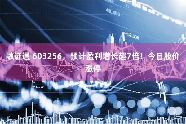 融证通 603256，预计盈利增长超7倍！今日股价涨停