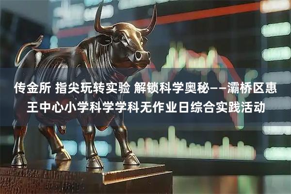 传金所 指尖玩转实验 解锁科学奥秘——灞桥区惠王中心小学科学学科无作业日综合实践活动