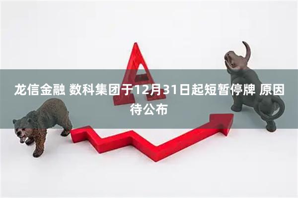龙信金融 数科集团于12月31日起短暂停牌 原因待公布