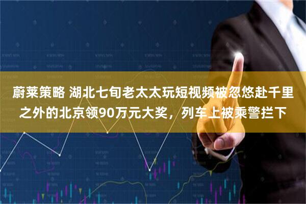 蔚莱策略 湖北七旬老太太玩短视频被忽悠赴千里之外的北京领90万元大奖，列车上被乘警拦下