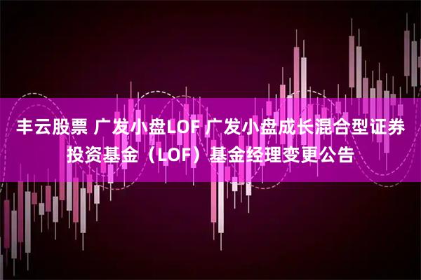 丰云股票 广发小盘LOF 广发小盘成长混合型证券投资基金（LOF）基金经理变更公告