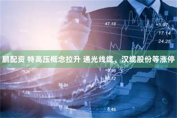 鹏配资 特高压概念拉升 通光线缆、汉缆股份等涨停