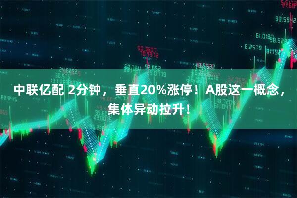 中联亿配 2分钟，垂直20%涨停！A股这一概念，集体异动拉升！