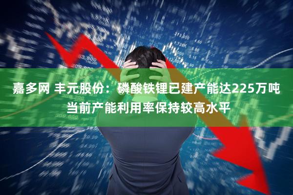 嘉多网 丰元股份：磷酸铁锂已建产能达225万吨 当前产能利用率保持较高水平