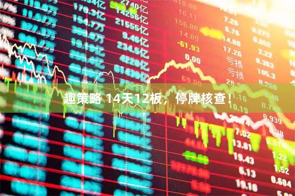趣策略 14天12板，停牌核查！