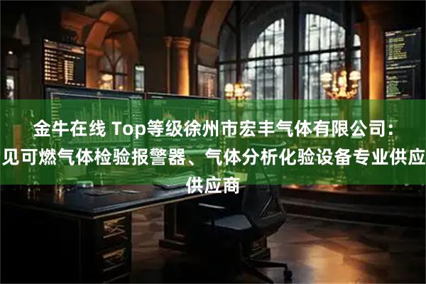金牛在线 Top等级徐州市宏丰气体有限公司：常见可燃气体检验报警器、气体分析化验设备专业供应商