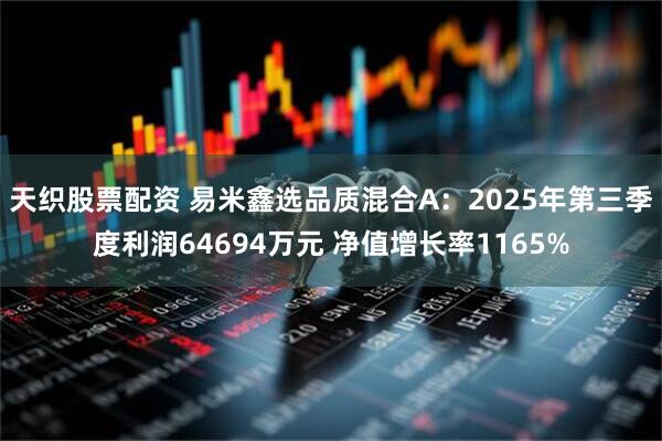 天织股票配资 易米鑫选品质混合A：2025年第三季度利润64694万元 净值增长率1165%
