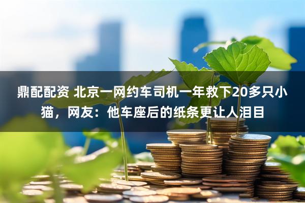 鼎配配资 北京一网约车司机一年救下20多只小猫，网友：他车座后的纸条更让人泪目